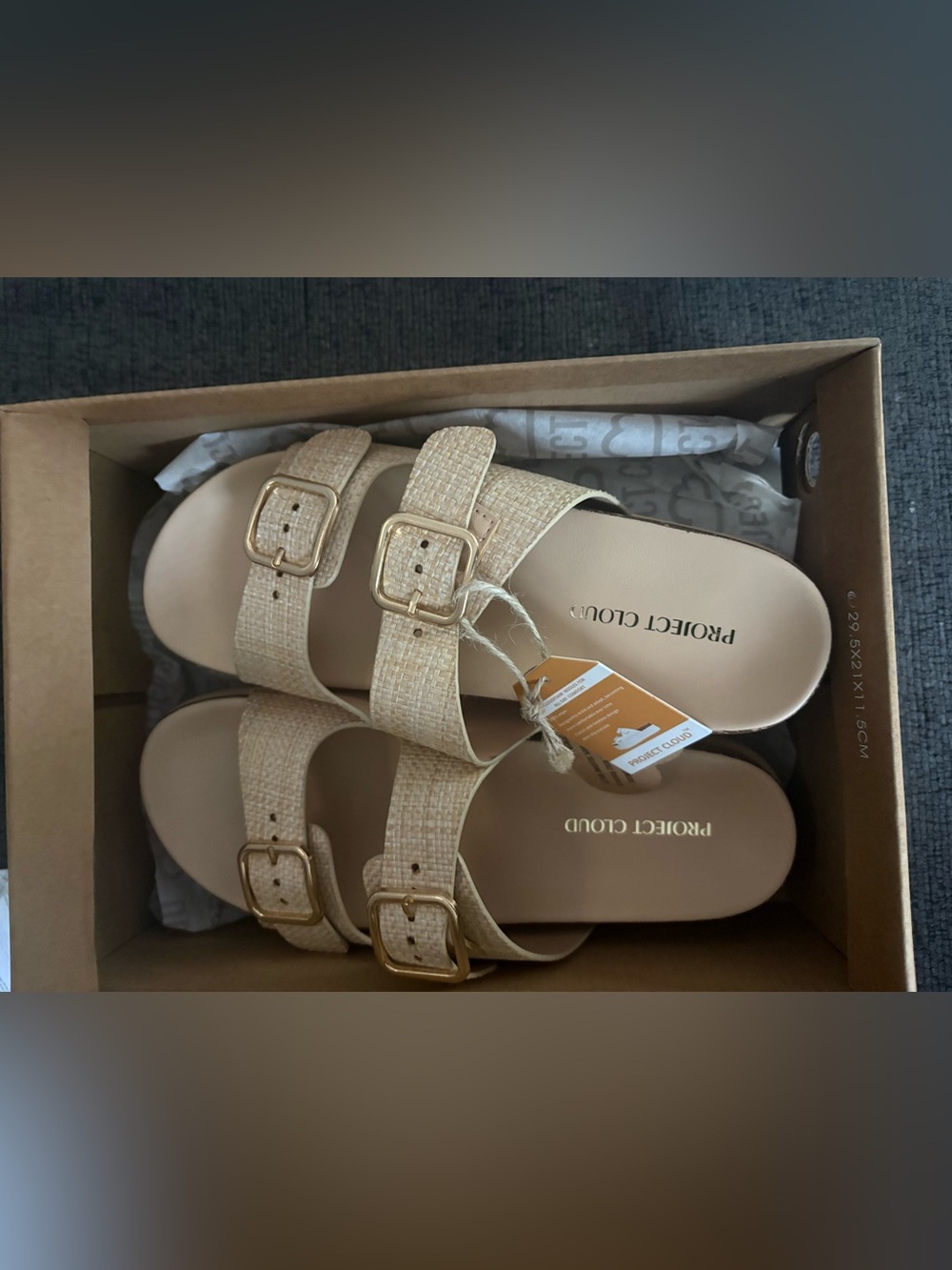 PROJECT CLOUD Beige Woven Double-Buckle Slide Sandals